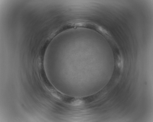 X0000082730551200701261248