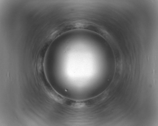 X0000082730554200701261248