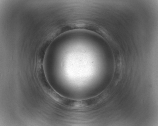 X0000082730555200701261248