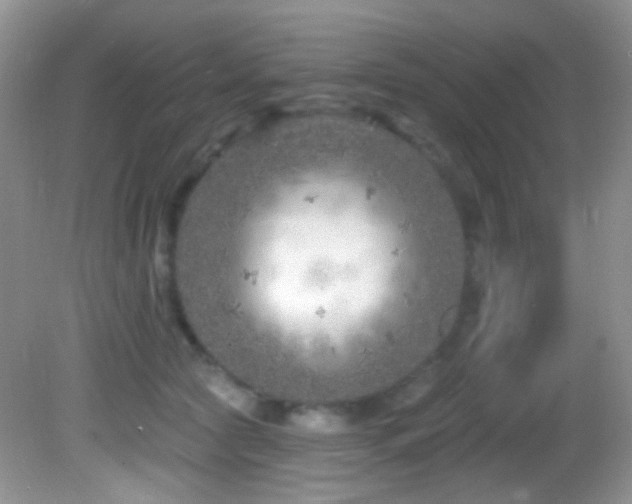 X0000082730561200701261248