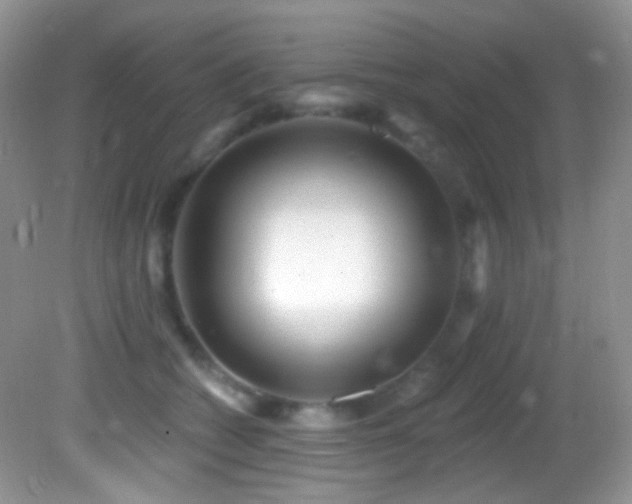 X0000082730562200701261248