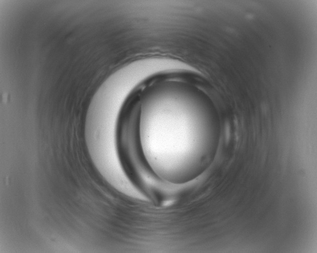 X0000082730564200701261248