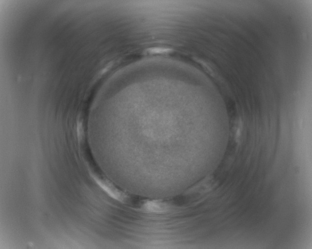 X0000082730568200701261248