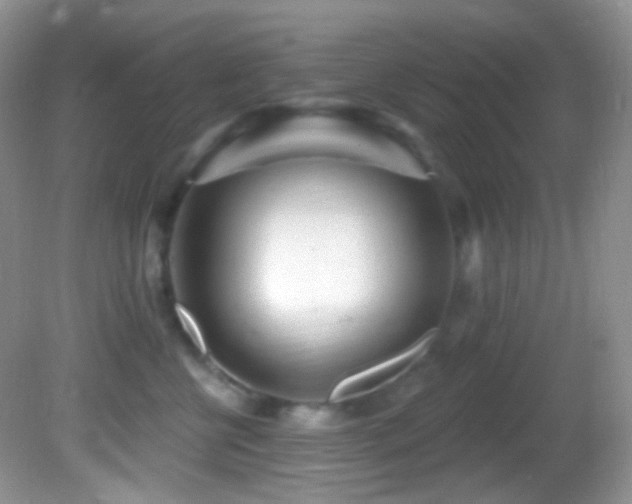X0000082730570200701261248