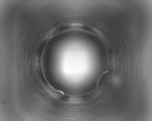 X0000082730571200701261248