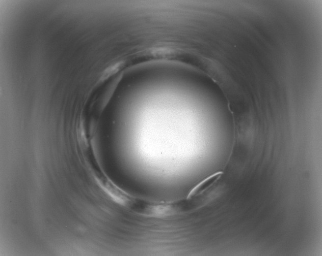 X0000082730575200701261248