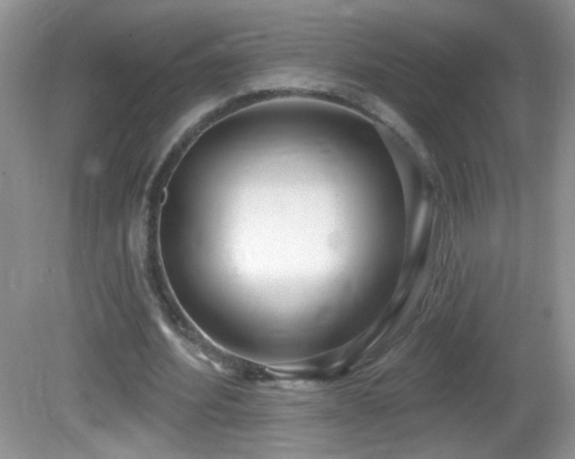 X0000082730580200701261247
