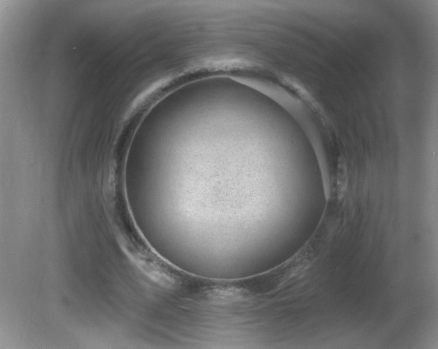X0000082730583200701261247