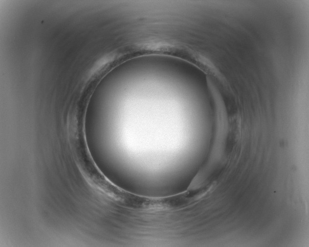 X0000082730587200701261247