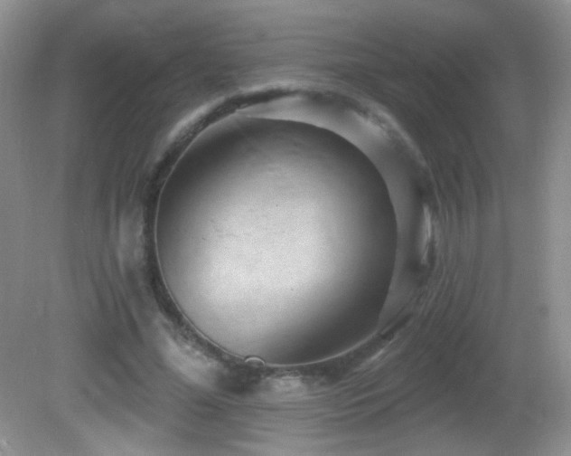 X0000082730588200701261247