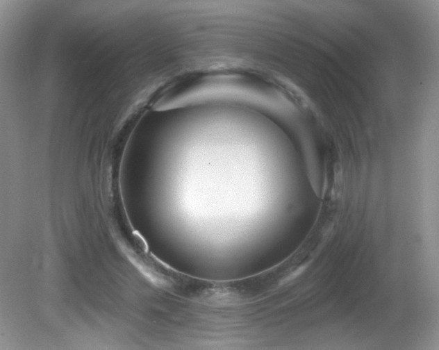 X0000082730589200701261247