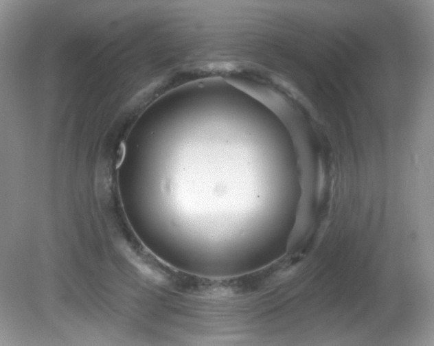 X0000082730593200701261247