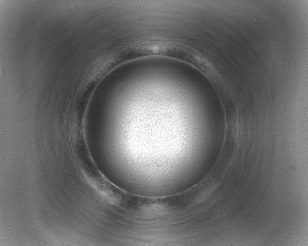X0000082730594200701261247