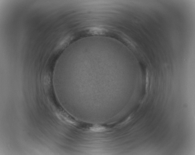 X0000082730603200701261247