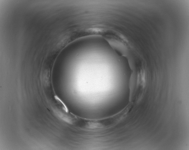 X0000082730605200701261247