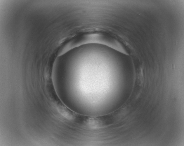 X0000082730608200701261247