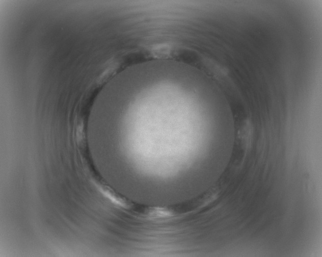 X0000082730610200701261247