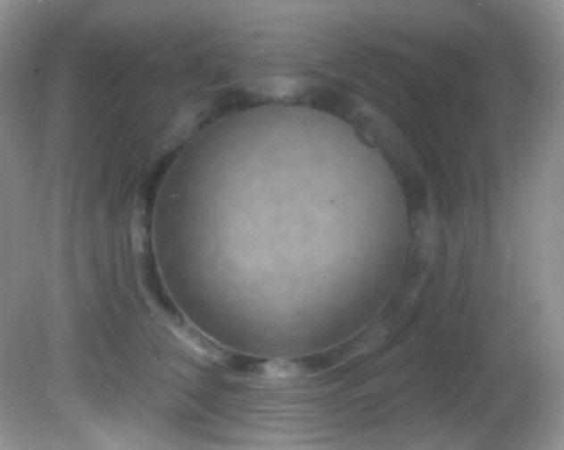 X0000082730612200701261247