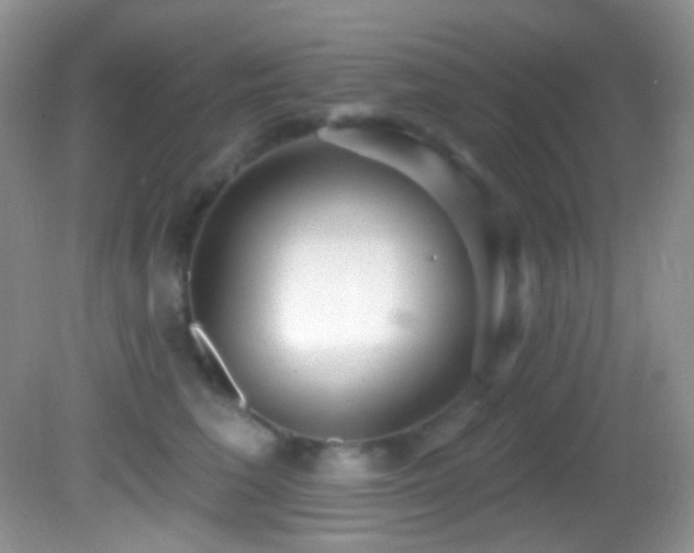 X0000082730613200701261247