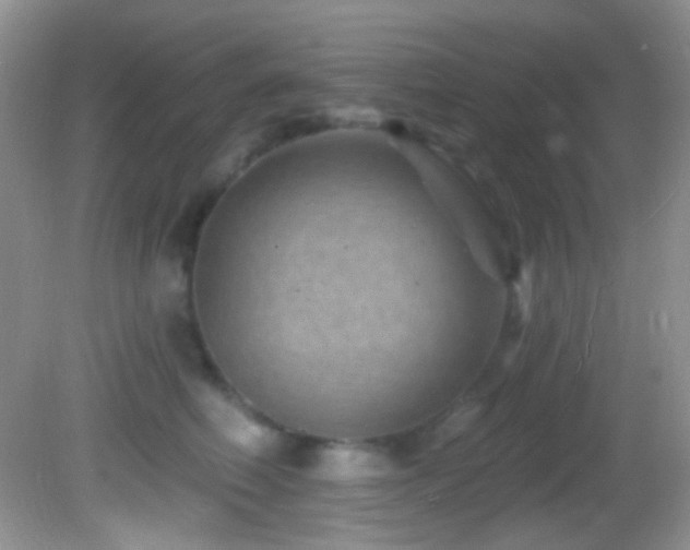 X0000082730614200701261247