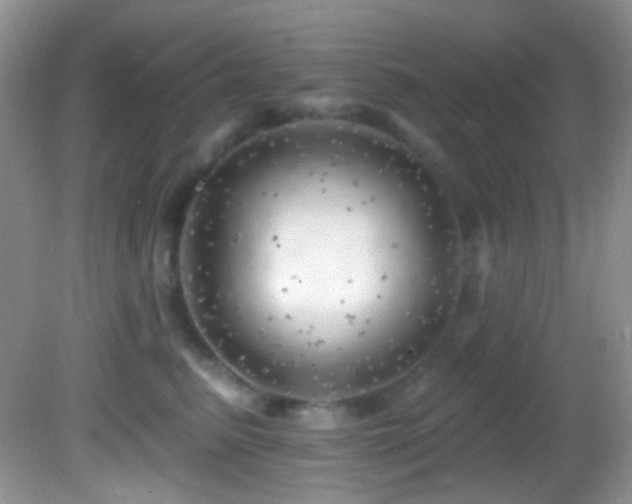 X0000082730615200701261247