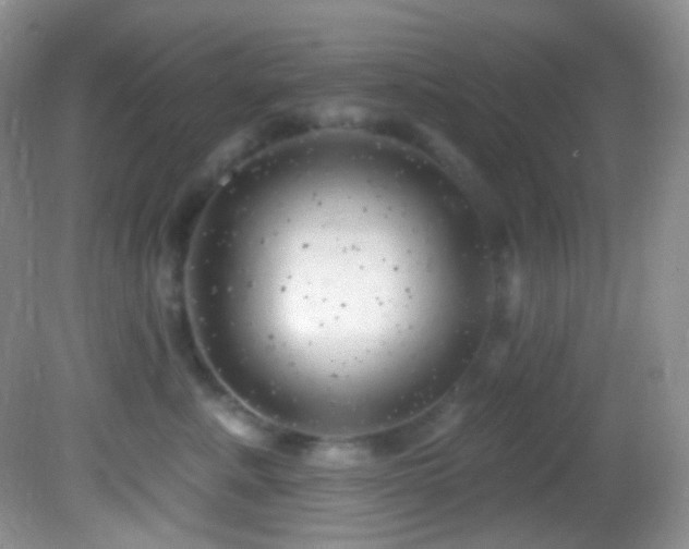 X0000082730619200701261246