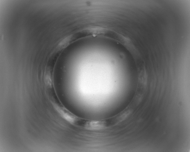 X0000082730622200701261246
