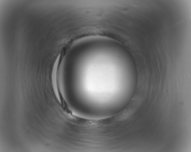 X0000082730624200701261246