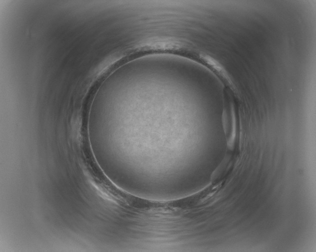 X0000082730627200701261246