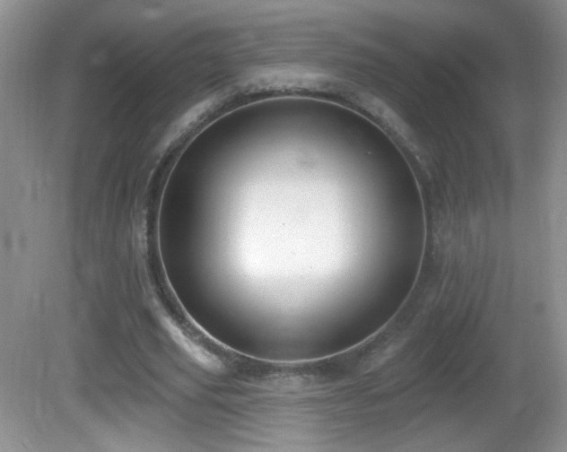 X0000082730629200701261246
