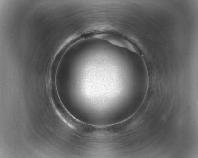 X0000082730630200701261246