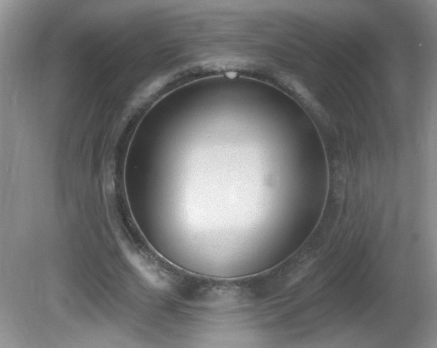 X0000082730631200701261246