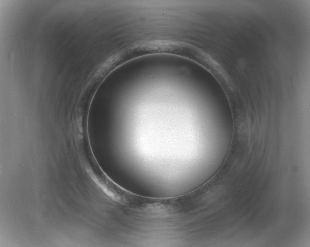 X0000082730633200701261246