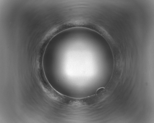 X0000082730635200701261246