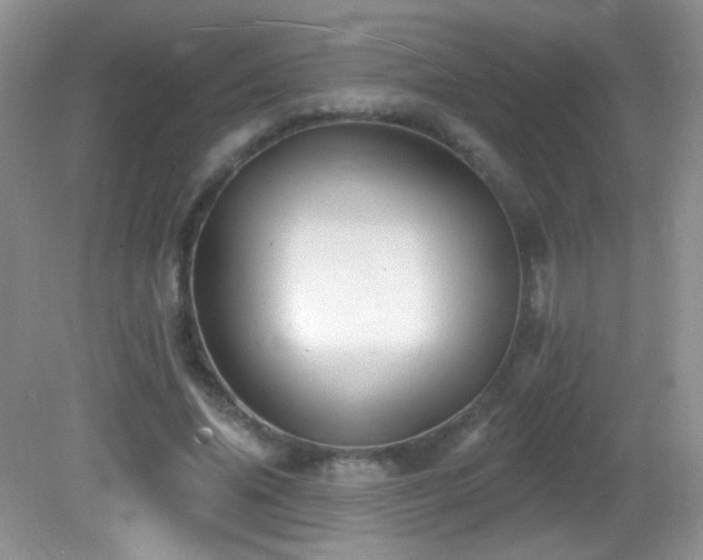 X0000082730636200701261246