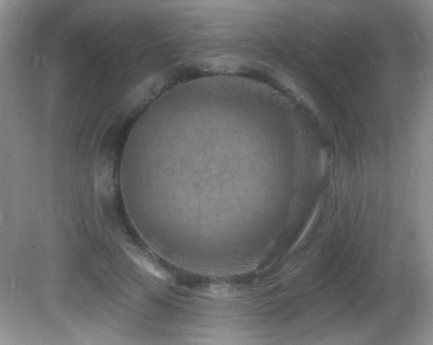 X0000082730641200701261246