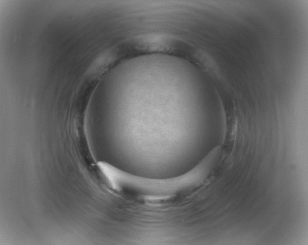 X0000082730643200701261246