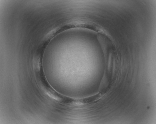 X0000082730644200701261246