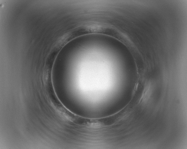 X0000082730645200701261246
