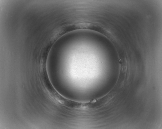 X0000082730647200701261246