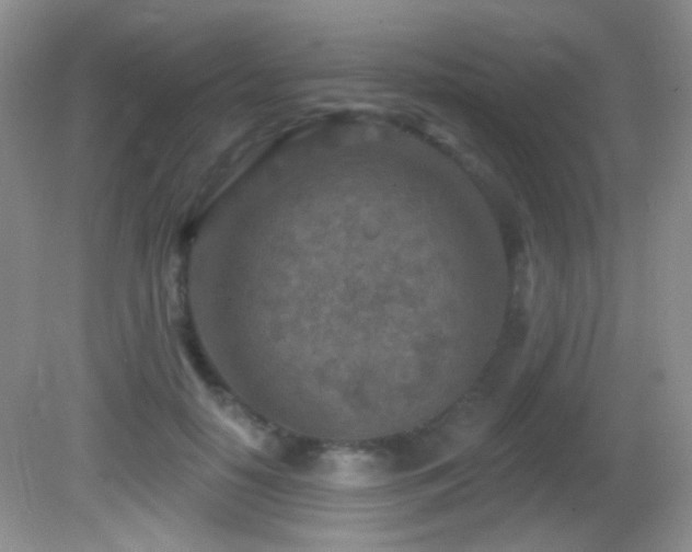 X0000082730650200701261246
