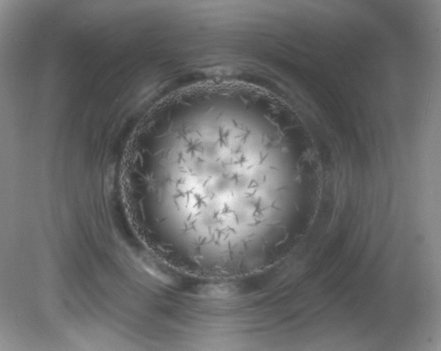 X0000082730652200701261246