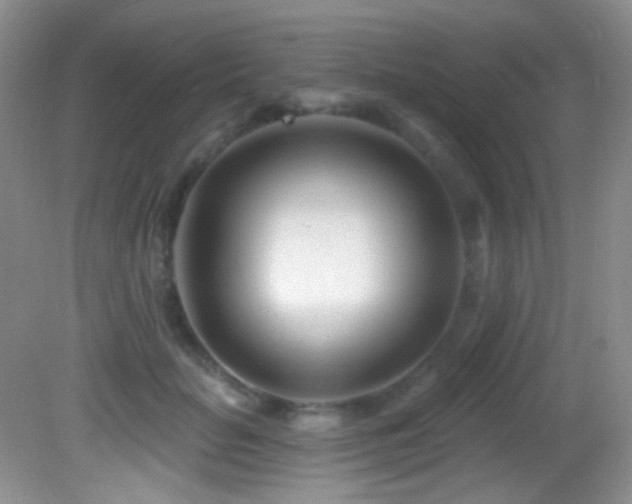 X0000082730653200701261246