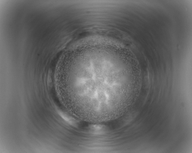 X0000082730654200701261246