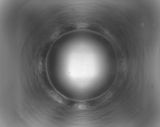 X0000082730655200701261246