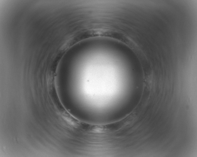 X0000082730657200701261246