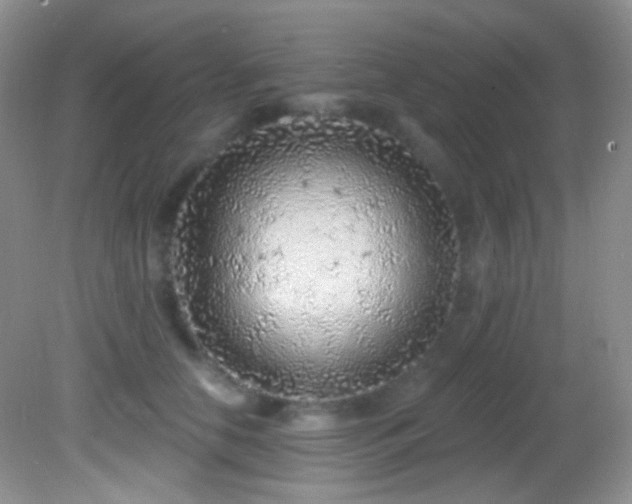 X0000082730658200701261246