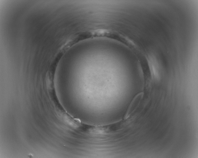 X0000082730661200701261246
