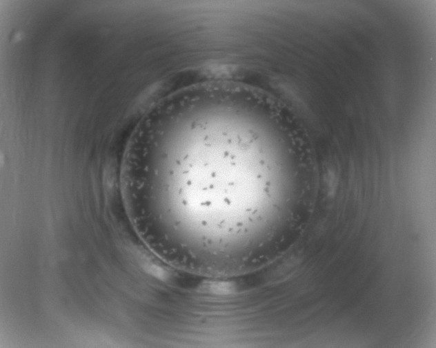 X0000082730665200701261246