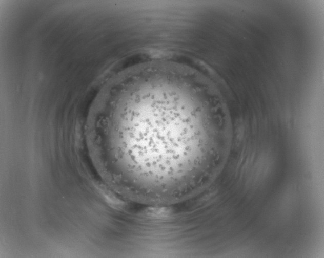 X0000082730667200701261246